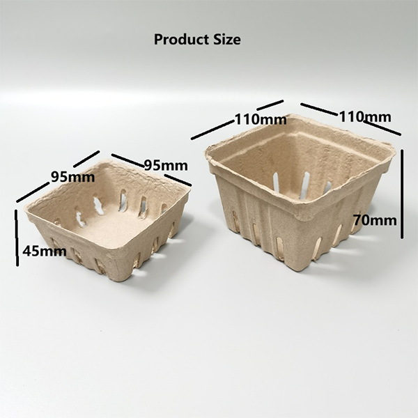 Compostable molded pulp produce baskets filled with fresh cherries in an orchard, zero-waste eco-friendly fruit punnets