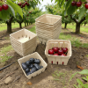 100% Compostable Molded Pulp Produce Baskets