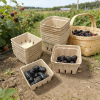 100% Compostable Molded Pulp Produce Baskets