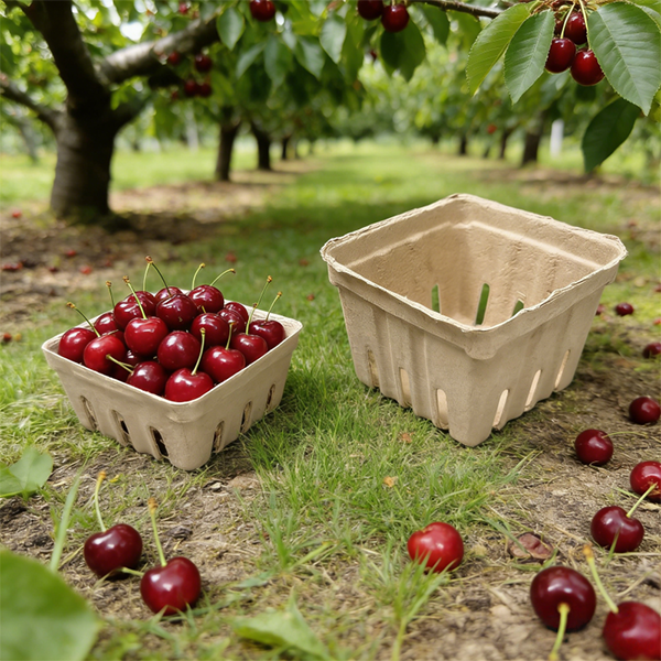 E-commerce cold chain delivery and direct-to-consumer sales