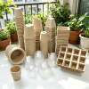 Home balcony & windowsill gardening