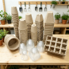  Succulent and cactus propagation