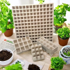  Flower seed germination (annuals, perennials, wildflowers)