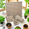 Home balcony, windowsill, and indoor gardening