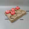 3.Compostable molded pulp apple trays with 6-cell design, eco-friendly anti-bruise fruit packaging for apples and pears in an orchard setting