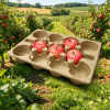  Food-Safe for Fresh Produce