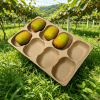100% Compostable | Zero Plastic