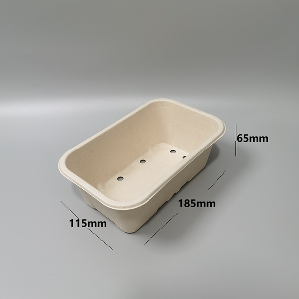 3.Compostable molded pulp produce trays holding fresh mushrooms and berries, multi-use eco-friendly food trays for produce