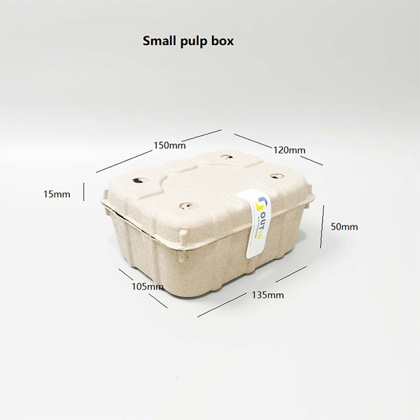 Eco-Friendly Molded Pulp Berry Clamshell Boxes